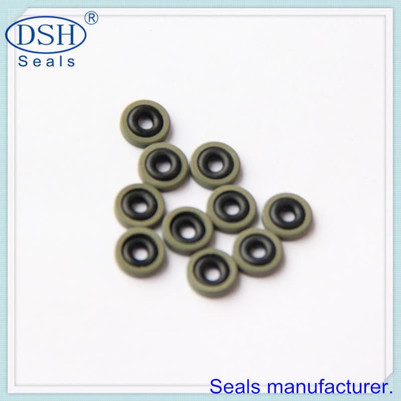 Piston seal_ glyd rings_